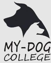 מאי דוג המכללה ללימודי אילוף כלבים