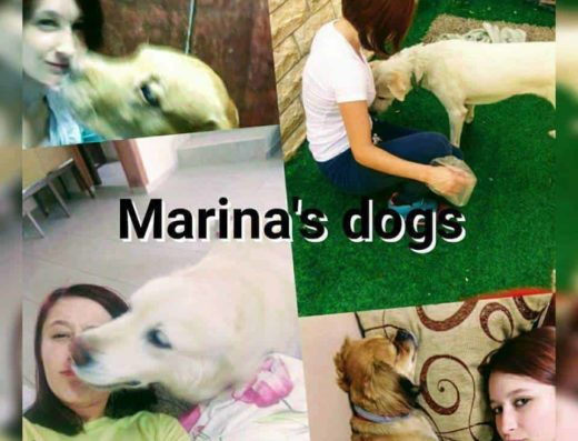 Marina's dogs